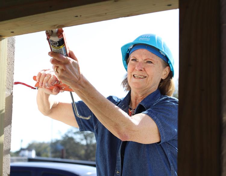 Pinellas County commissioners help with Habitat build site